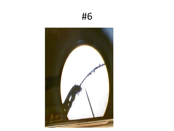 #6 #6
