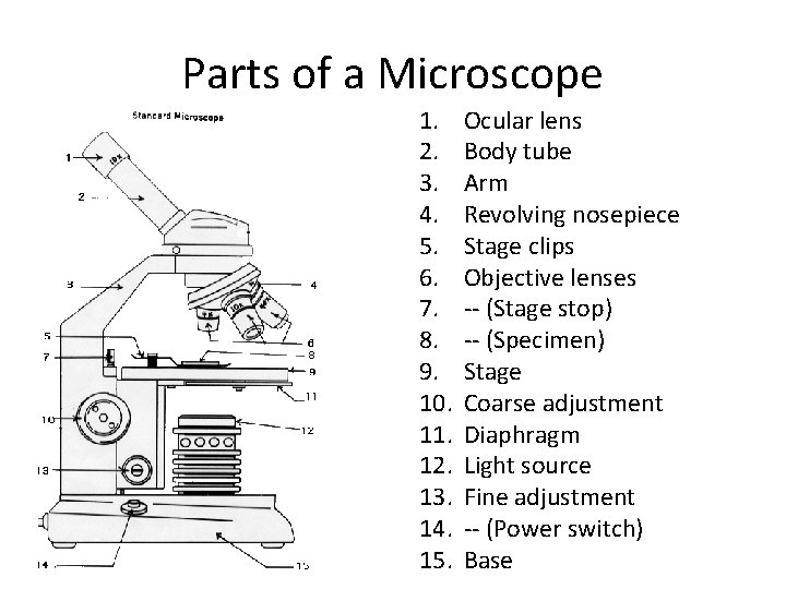 Parts of a Microscope 1. 2. 3. 4. 5. 6. 7. 8. 9. 10. Parts of a Microscope 1. 2. 3. 4. 5. 6. 7. 8. 9. 10.