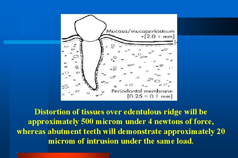 Distortion of tissues over edentulous ridge will be approximately 500 microm under 4 newtons