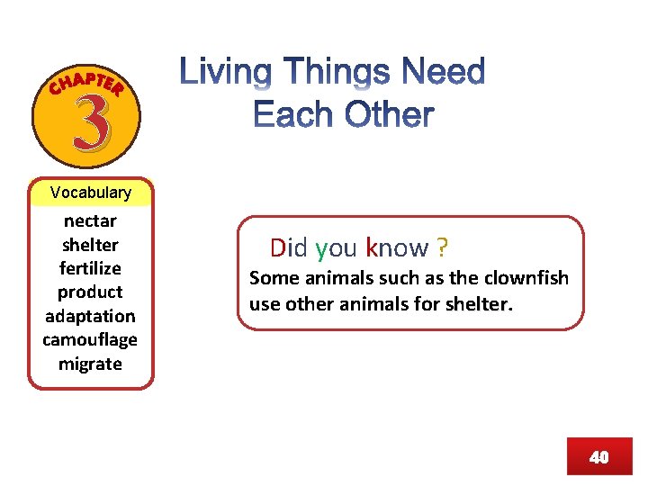 3 Vocabulary nectar shelter fertilize product adaptation camouflage migrate Did you know ? Some