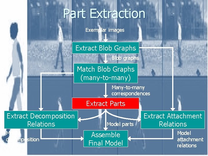 Part Extraction Exemplar images Extract Blob Graphs Blob graphs Match Blob Graphs (many-to-many) Many-to-many