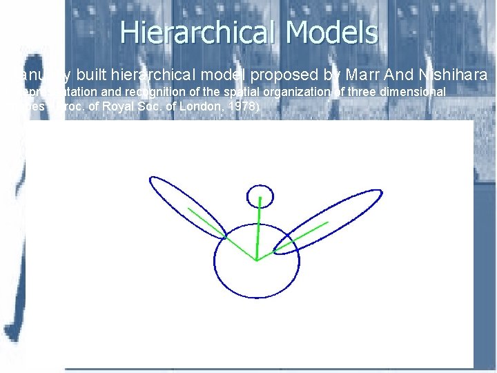 Hierarchical Models Manually built hierarchical model proposed by Marr And Nishihara (“Representation and recognition