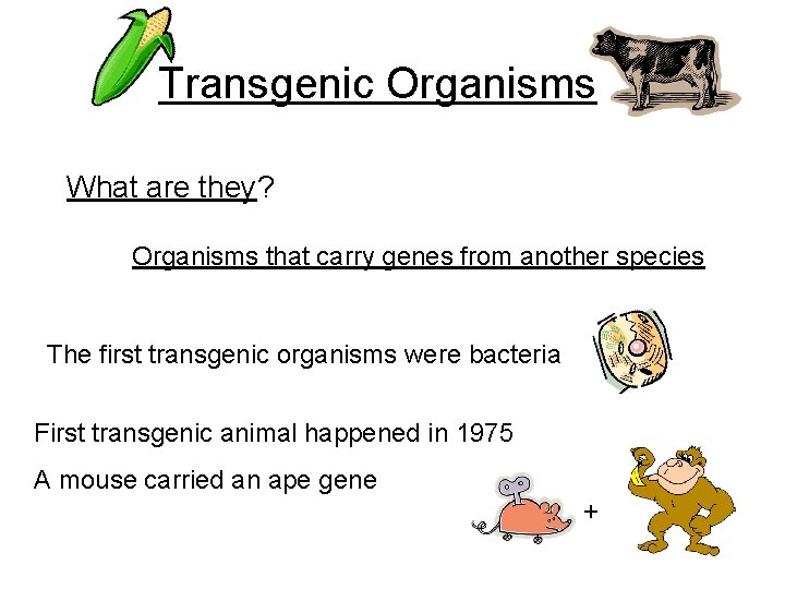 Transgenic Organisms What are they? Organisms that carry genes from another species The first
