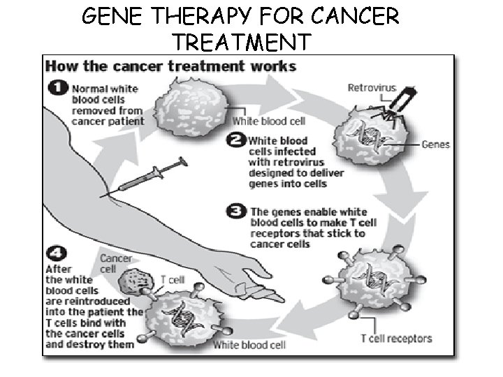 GENE THERAPY FOR CANCER TREATMENT 