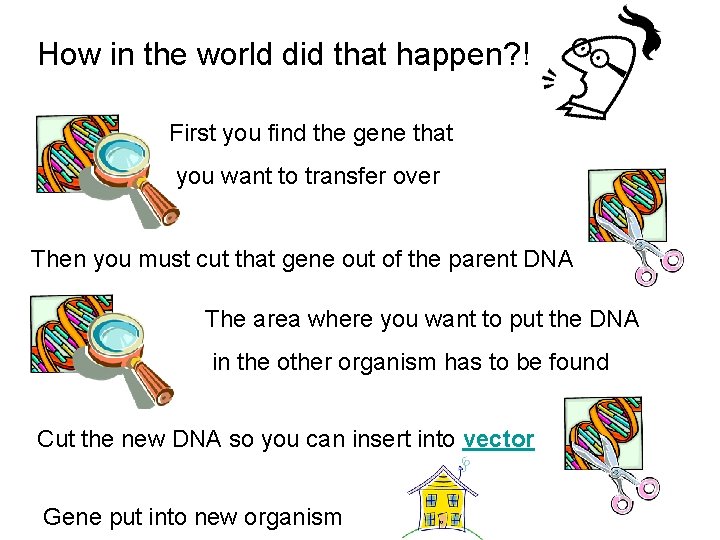 How in the world did that happen? ! First you find the gene that