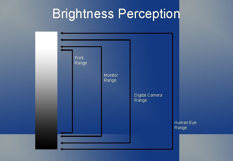 Brightness Perception Print Range Monitor Range Digital Camera Range Human Eye Range 