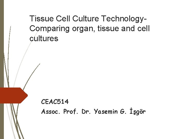 Tissue Cell Culture Technology. Comparing organ, tissue and cell cultures CEAC 514 Assoc. Prof.