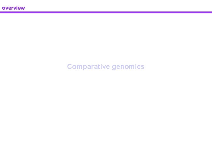 overview Comparative genomics 