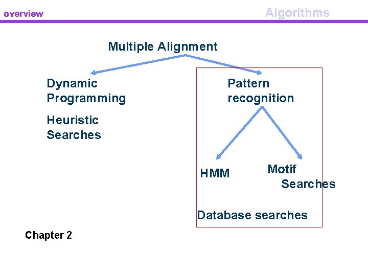 Algorithms overview Multiple Alignment Dynamic Programming Pattern recognition Heuristic Searches HMM Motif Searches Database