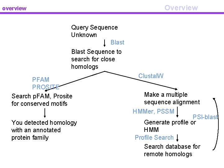 Overview overview Query Sequence Unknown Blast Sequence to search for close homologs PFAM PROSITE