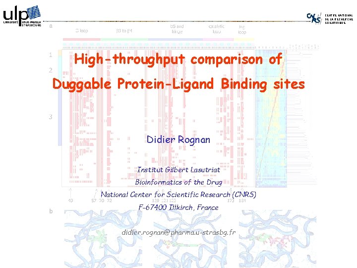 CENTRE NATIONAL DE LA RECHERCHE SCIENTIFIQUE High-throughput comparison of Duggable Protein-Ligand Binding sites Didier