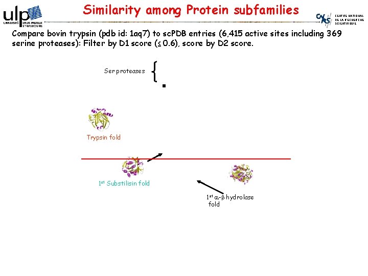 Similarity among Protein subfamilies CENTRE NATIONAL DE LA RECHERCHE SCIENTIFIQUE Compare bovin trypsin (pdb