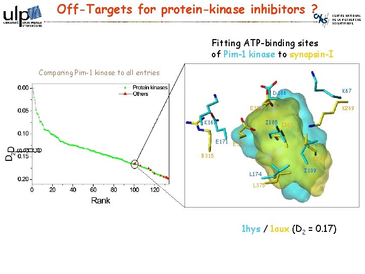 Off-Targets for protein-kinase inhibitors ? CENTRE NATIONAL DE LA RECHERCHE SCIENTIFIQUE Fitting ATP-binding sites
