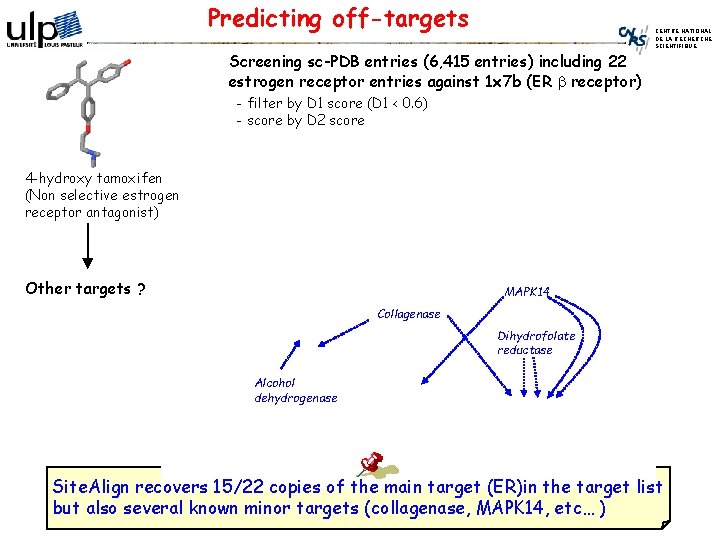 Predicting off-targets CENTRE NATIONAL DE LA RECHERCHE SCIENTIFIQUE Screening sc-PDB entries (6, 415 entries)