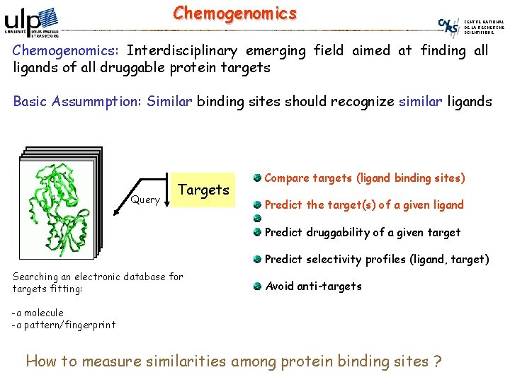 Chemogenomics CENTRE NATIONAL DE LA RECHERCHE SCIENTIFIQUE Chemogenomics: Interdisciplinary emerging field aimed at finding