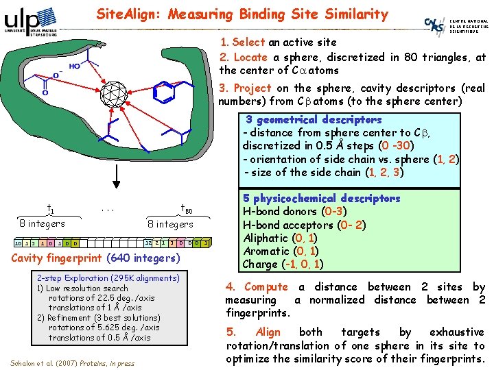 Site. Align: Measuring Binding Site Similarity CENTRE NATIONAL DE LA RECHERCHE SCIENTIFIQUE 1. Select