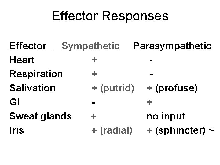 Effector Responses Effector Sympathetic Parasympathetic Heart + Respiration + Salivation + (putrid) + (profuse)