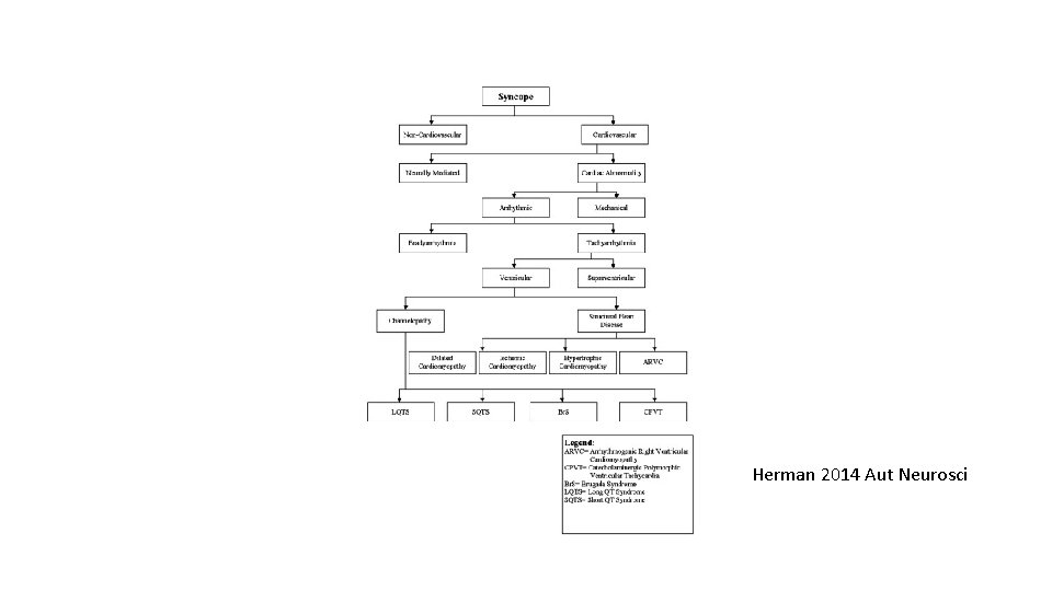 Herman 2014 Aut Neurosci 