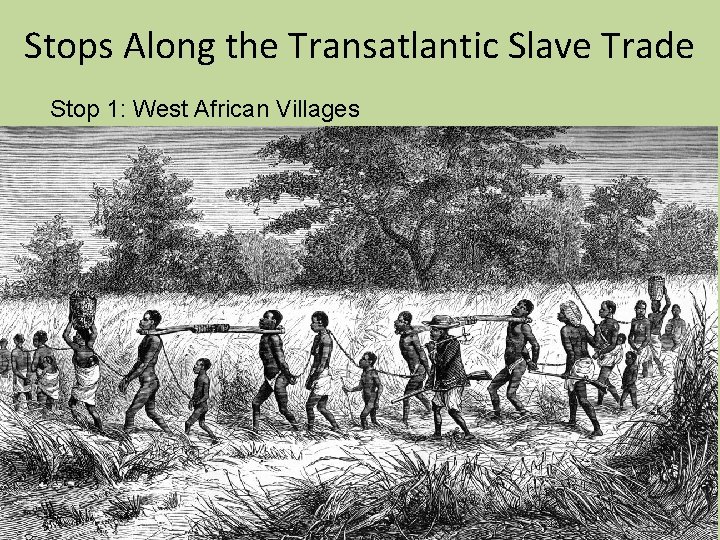 Stops Along the Transatlantic Slave Trade Stop 1: West African Villages Stops Along the Transatlantic Slave Trade Stop 1: West African Villages