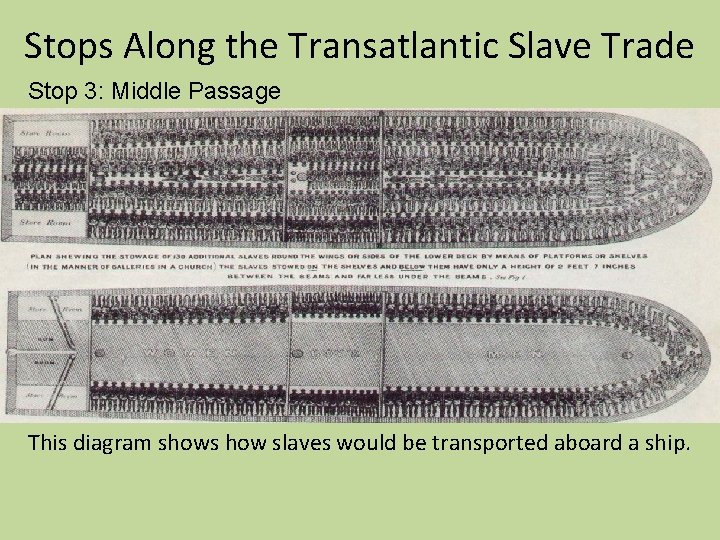 Stops Along the Transatlantic Slave Trade Stop 3: Middle Passage This diagram shows how Stops Along the Transatlantic Slave Trade Stop 3: Middle Passage This diagram shows how