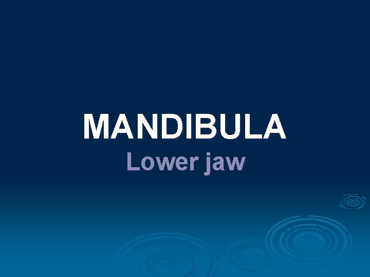 MANDIBULA Lower jaw 