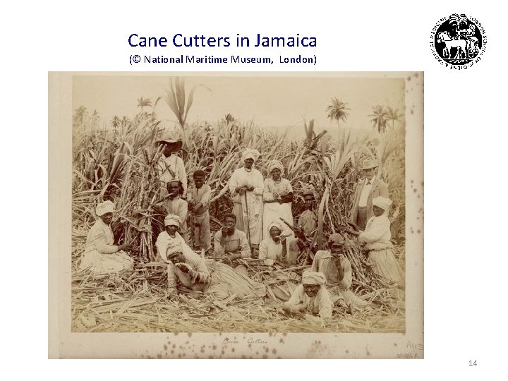 Cane Cutters in Jamaica (© National Maritime Museum, London) 14 