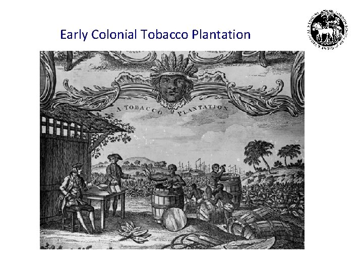 Early Colonial Tobacco Plantation 