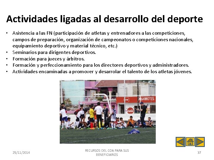 Actividades ligadas al desarrollo del deporte • Asistencia a las FN (participación de atletas