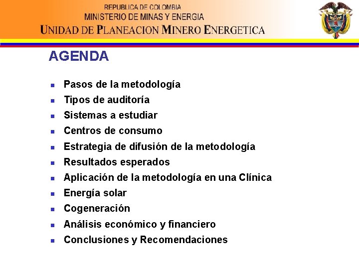 AGENDA n Pasos de la metodología n Tipos de auditoría n Sistemas a estudiar