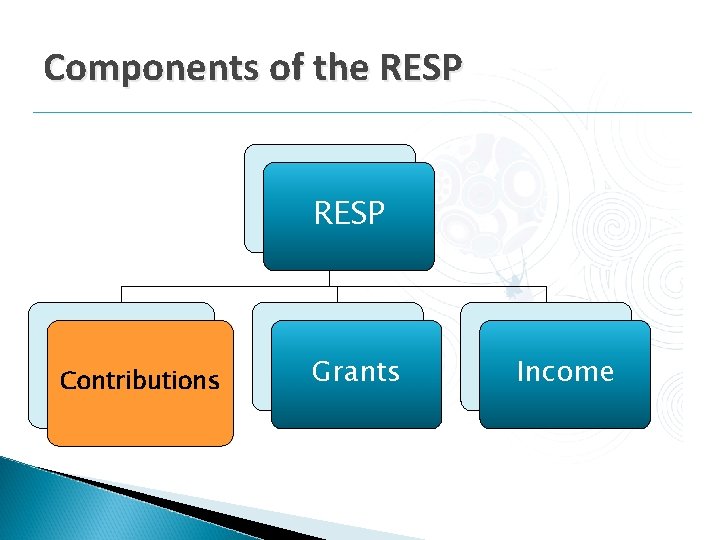 Components of the RESP Contributions Grants Income Components of the RESP Contributions Grants Income