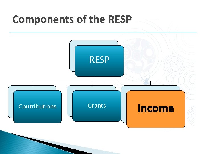 Components of the RESP Contributions Grants Income Components of the RESP Contributions Grants Income