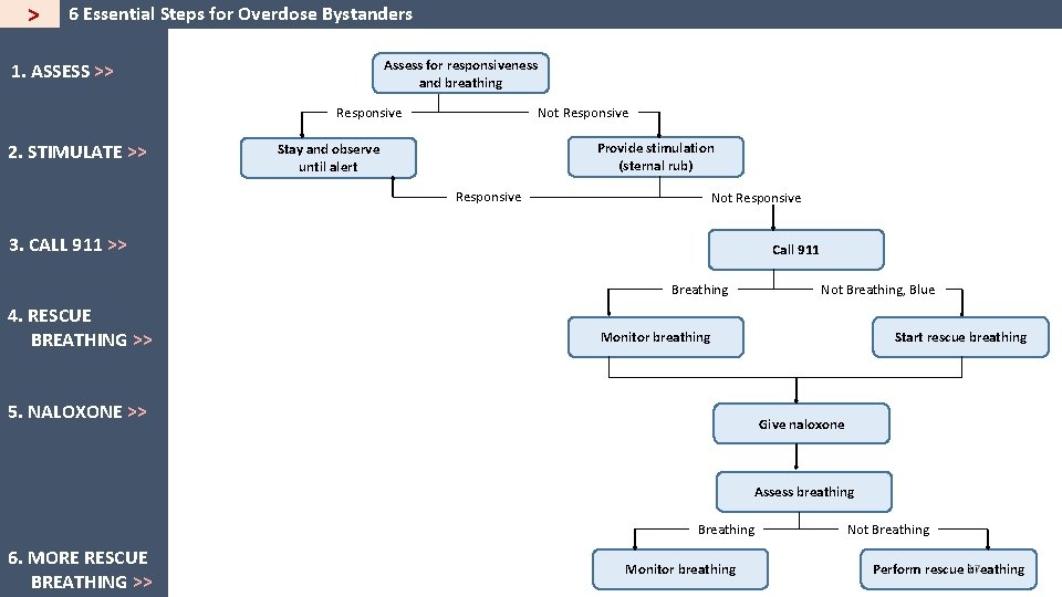 > 6 Essential Steps for Overdose Bystanders Assess for responsiveness and breathing 1. ASSESS