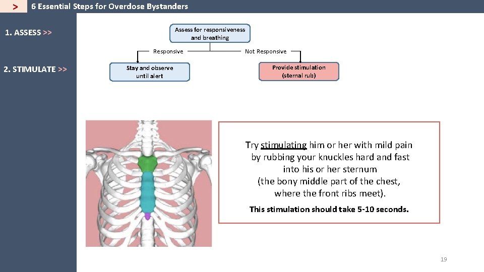 > 6 Essential Steps for Overdose Bystanders Assess for responsiveness and breathing 1. ASSESS