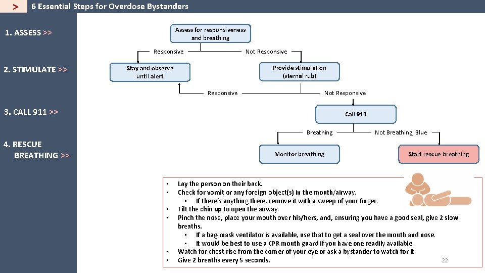 > 6 Essential Steps for Overdose Bystanders Assess for responsiveness and breathing 1. ASSESS