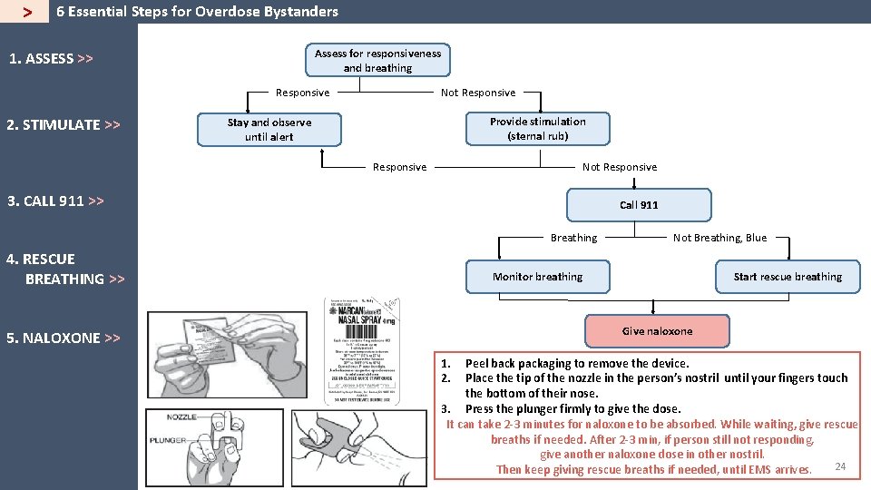 > 6 Essential Steps for Overdose Bystanders Assess for responsiveness and breathing 1. ASSESS