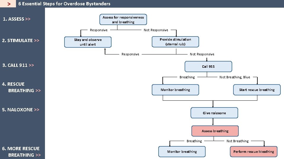 > 6 Essential Steps for Overdose Bystanders Assess for responsiveness and breathing 1. ASSESS
