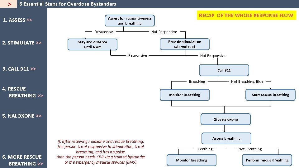 > 6 Essential Steps for Overdose Bystanders 1. ASSESS >> Responsive 2. STIMULATE >>