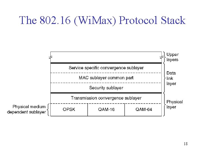 The 802. 16 (Wi. Max) Protocol Stack 18 