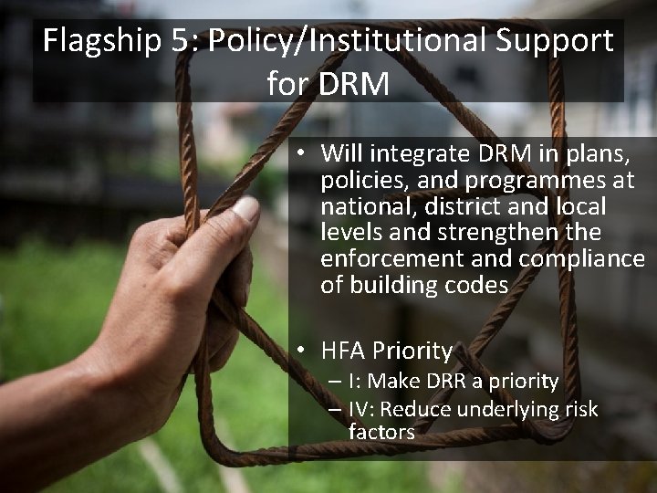 Flagship 5: Policy/Institutional Support for DRM • Will integrate DRM in plans, policies, and