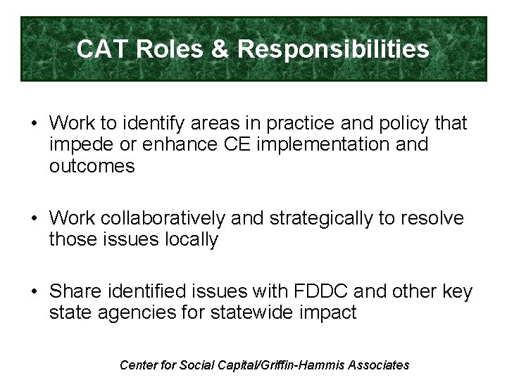 CAT Roles & Responsibilities • Work to identify areas in practice and policy that