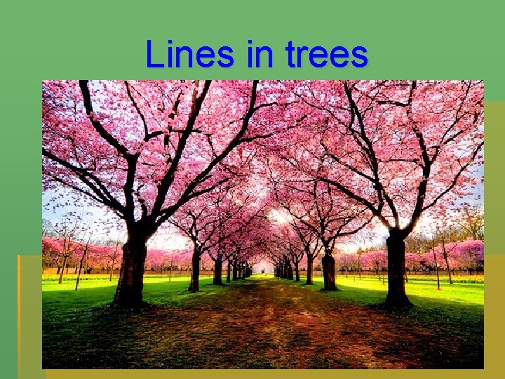 Lines in trees 