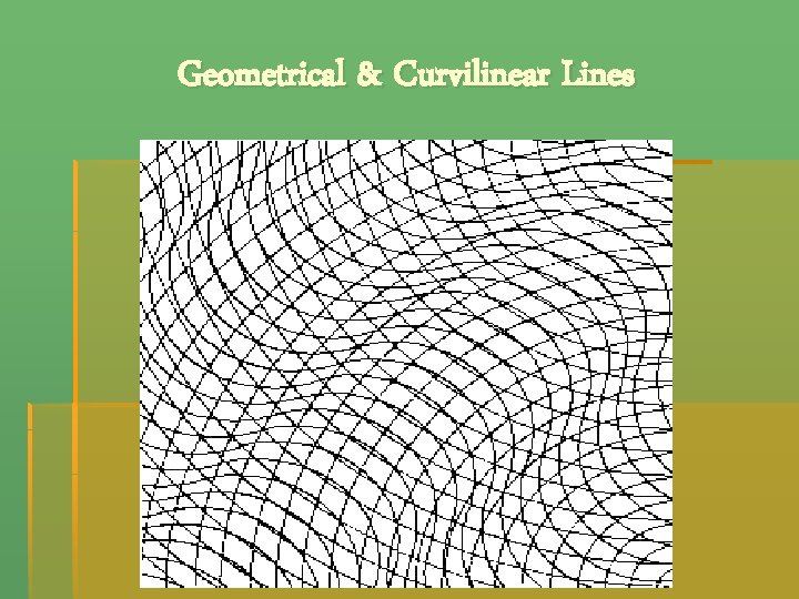 Geometrical & Curvilinear Lines 