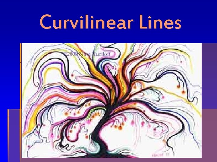 Curvilinear Lines 