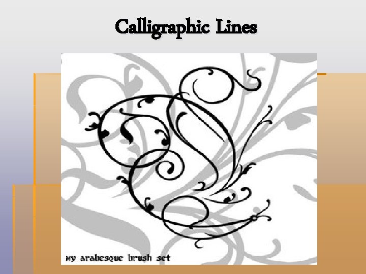 Calligraphic Lines 