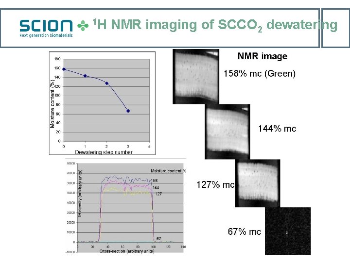 1 H NMR imaging of SCCO 2 dewatering 