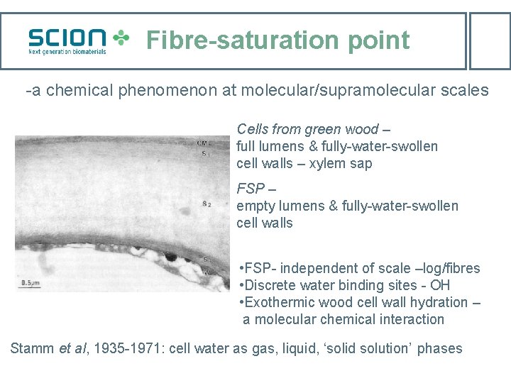 Fibre-saturation point -a chemical phenomenon at molecular/supramolecular scales Cells from green wood – full