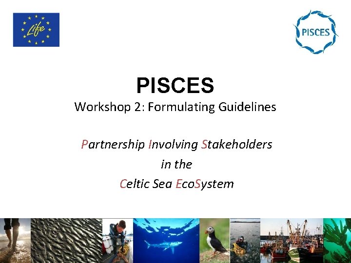 PISCES Workshop 2: Formulating Guidelines Partnership Involving Stakeholders in the Celtic Sea Eco. System