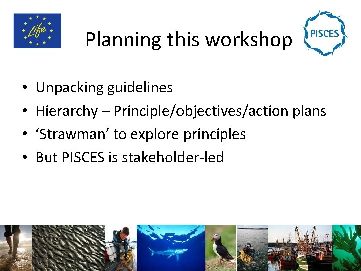 Planning this workshop • • Unpacking guidelines Hierarchy – Principle/objectives/action plans ‘Strawman’ to explore