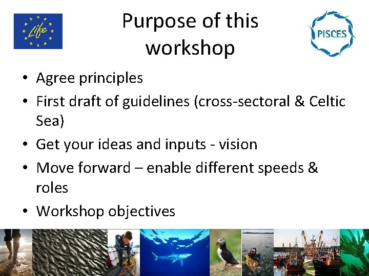 Purpose of this workshop • Agree principles • First draft of guidelines (cross-sectoral &