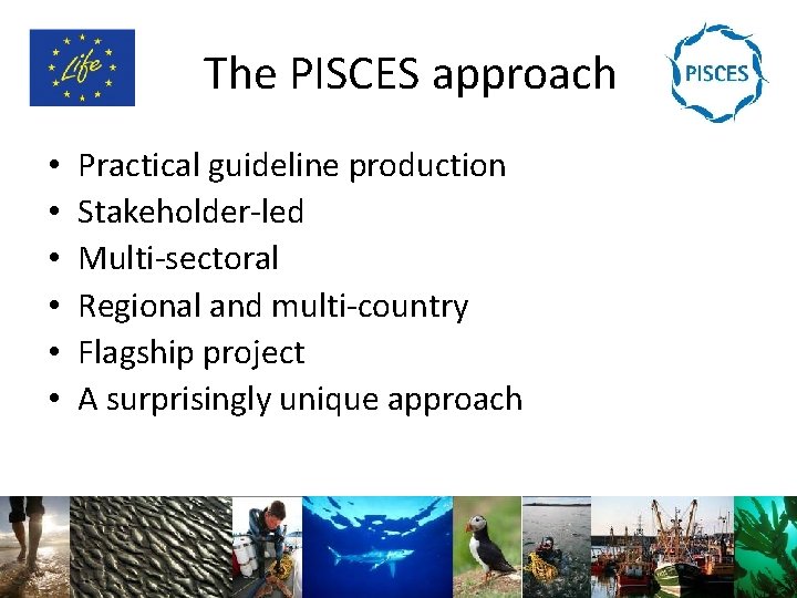 The PISCES approach • • • Practical guideline production Stakeholder-led Multi-sectoral Regional and multi-country